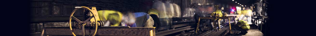 underground-plant-bg